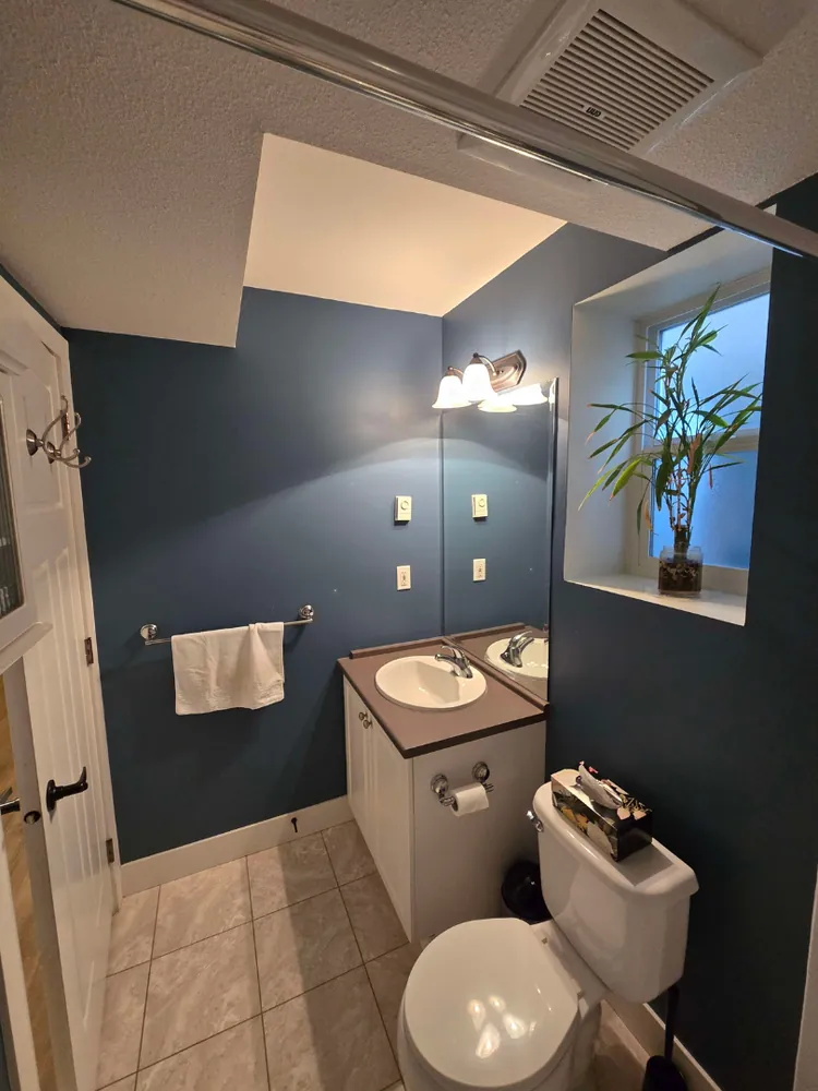 Bathroom after painting by Primal Painting